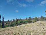 1167 Latigo Loop - Photo 19