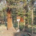1167 Latigo Loop - Photo 2