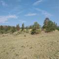1167 Latigo Loop - Photo 9
