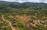 31230 Broken Talon Trail - Photo 42