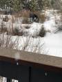 1513 Keystone Road - Photo 35