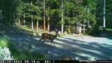 37 Mountain View Drive - Photo 22