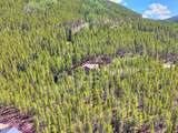 139 Pennsylvania Creek Trail - Photo 42