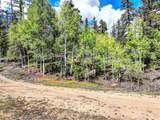 75 Swiggler Road - Photo 17