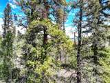 75 Swiggler Road - Photo 18