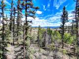 75 Swiggler Road - Photo 33