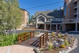 2302 Ski Trail Lane - Photo 39