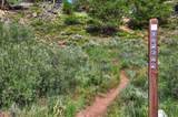85 Revett Drive - Photo 46