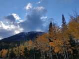 9876 Ryan Gulch Road - Photo 40
