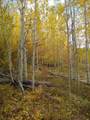 9876 Ryan Gulch Road - Photo 41