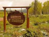 Lot 23 Horseback Subd At Stagecoach - Photo 14