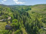 1800 Triple Creek Ranch Road - Photo 10