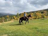 1800 Triple Creek Ranch Road - Photo 32