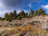 0000 State Highway 131 - Photo 19