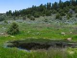 0000 State Highway 131 - Photo 26