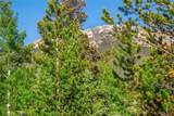 8500 Ryan Gulch Road - Photo 18