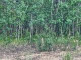 58 Osprey Road - Photo 1