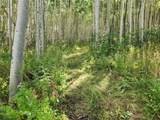 52002 County Road 8 - Photo 15