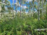 52002 County Road 8 - Photo 17