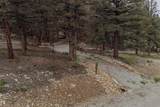 225 Trout Creek Road - Photo 1