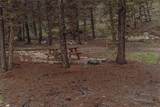 225 Trout Creek Road - Photo 6