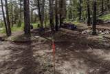 225 Trout Creek Road - Photo 7