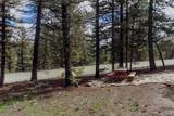 225 Trout Creek Road - Photo 8