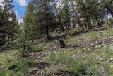 225 Trout Creek Road - Photo 9