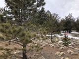 133 Joyce Lane - Photo 14