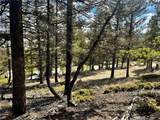 2843 Redhill Road - Photo 8
