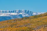 27185 Sundance Trail - Photo 15