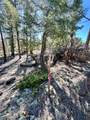 1439 Bellows Road - Photo 10