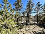 1439 Bellows Road - Photo 6