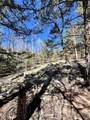 1439 Bellows Road - Photo 8