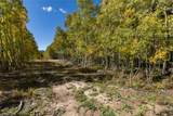 10575 Co-82 - Photo 12
