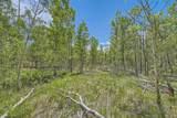 612 Iron Mountain Road - Photo 5