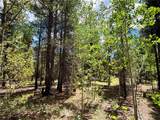 250 Ski Doo Road - Photo 16