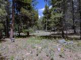 250 Ski Doo Road - Photo 19