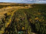 250 Ski Doo Road - Photo 2