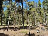 250 Ski Doo Road - Photo 21