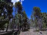 250 Ski Doo Road - Photo 24
