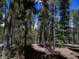 250 Ski Doo Road - Photo 25