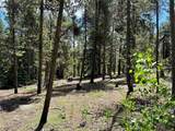 250 Ski Doo Road - Photo 29