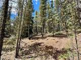 250 Ski Doo Road - Photo 30