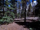 250 Ski Doo Road - Photo 31