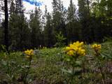 250 Ski Doo Road - Photo 32
