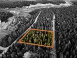 250 Ski Doo Road - Photo 34
