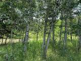 32518 Ute Trail - Photo 3