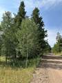 32518 Ute Trail - Photo 4