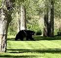 27095 Fire Song Road - Photo 34